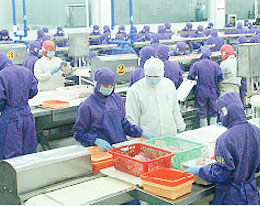 Factory Line